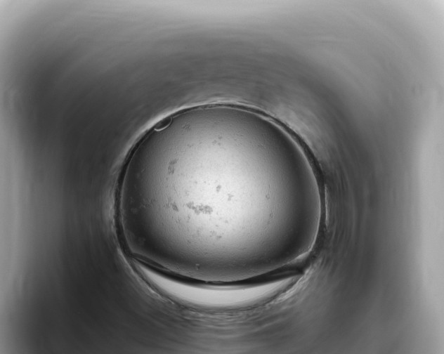 X0000093431500200710191015