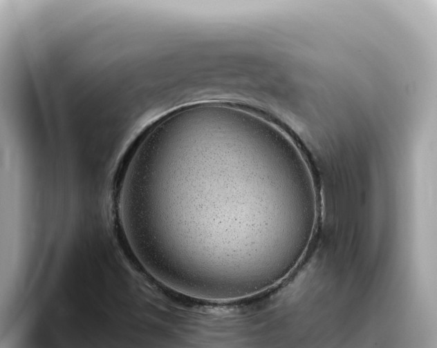 X0000093431501200710191015