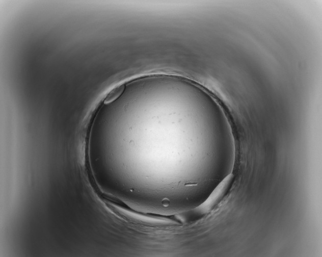 X0000093431504200710191015