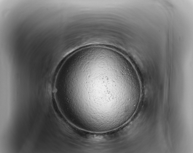 X0000093431505200710191015