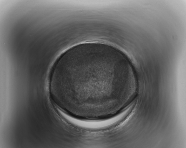 X0000093431506200710191015