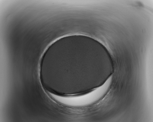 X0000093431508200710191015