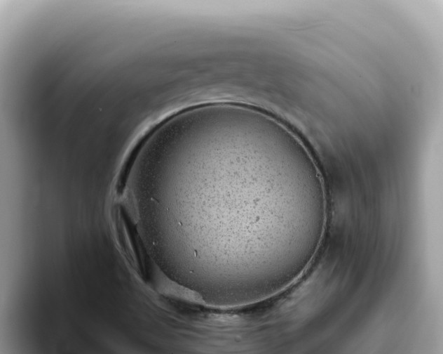X0000093431509200710191015
