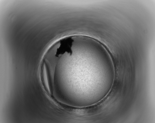 X0000093431511200710191015