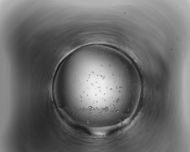 X0000093431513200710191015