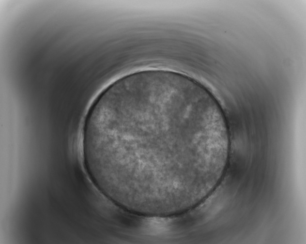 X0000093431514200710191015