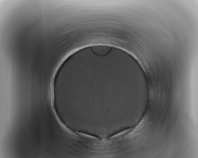 X0000093431515200710191015