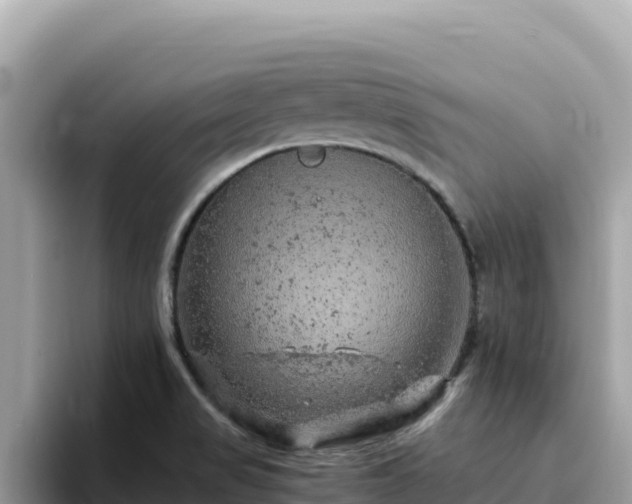 X0000093431517200710191015