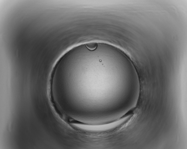 X0000093431518200710191015