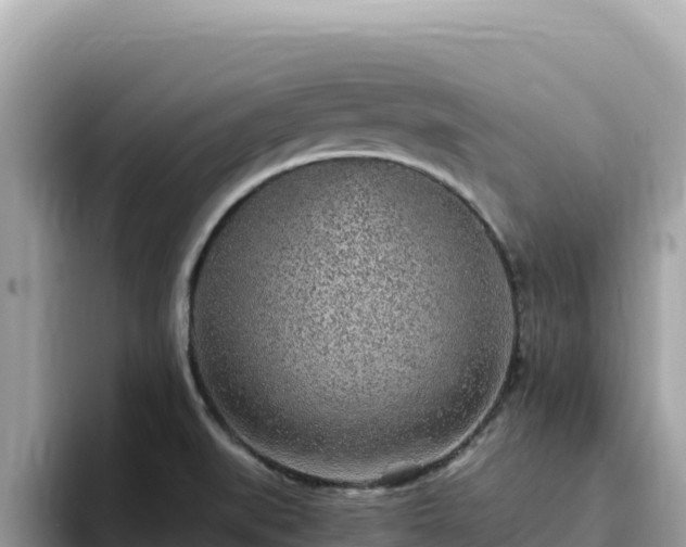 X0000093431519200710191015