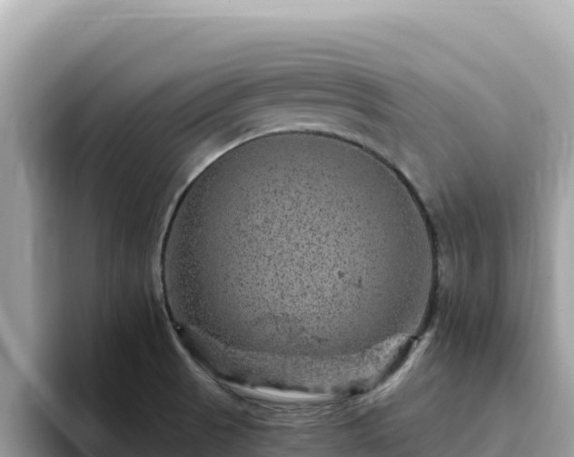 X0000093431521200710191015