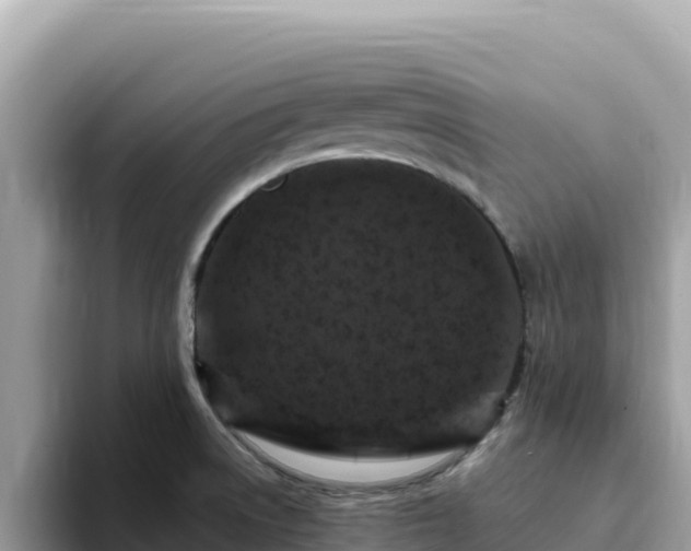 X0000093431522200710191015