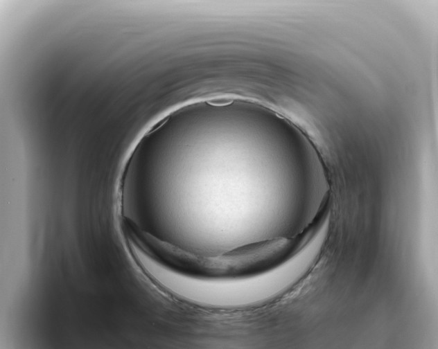 X0000093431524200710191015