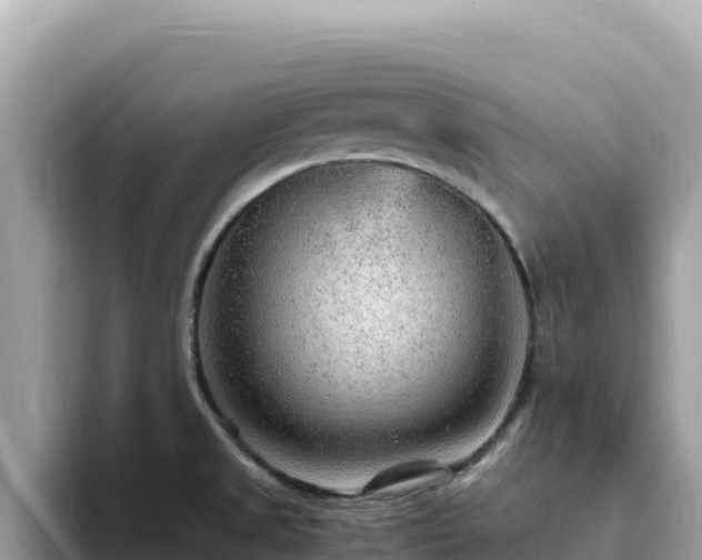 X0000093431525200710191015