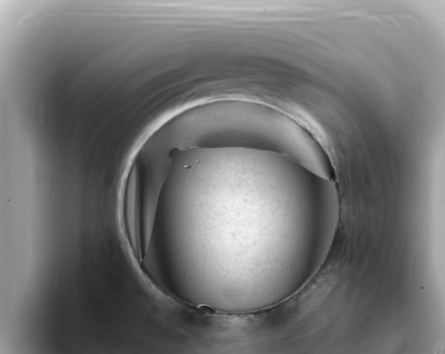 X0000093431528200710191016