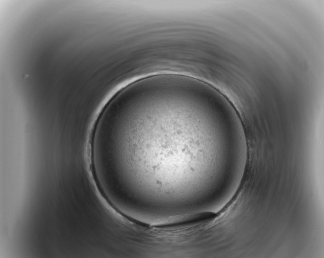 X0000093431531200710191016