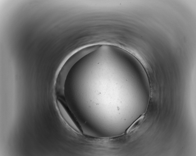 X0000093431532200710191016