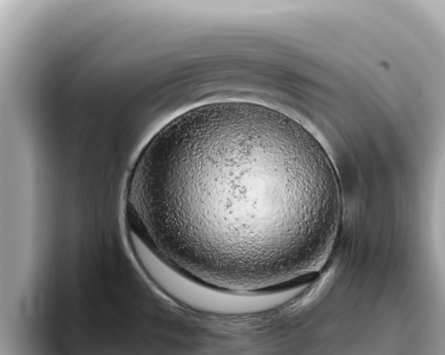 X0000093431533200710191016