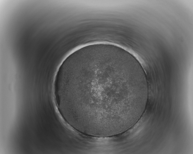 X0000093431534200710191016