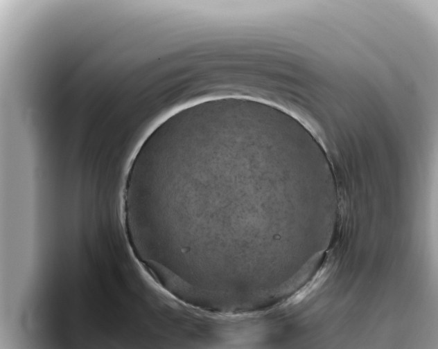 X0000093431535200710191016