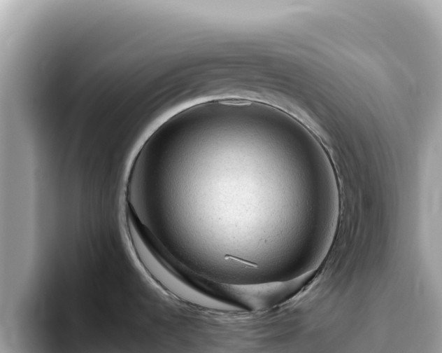 X0000093431536200710191016