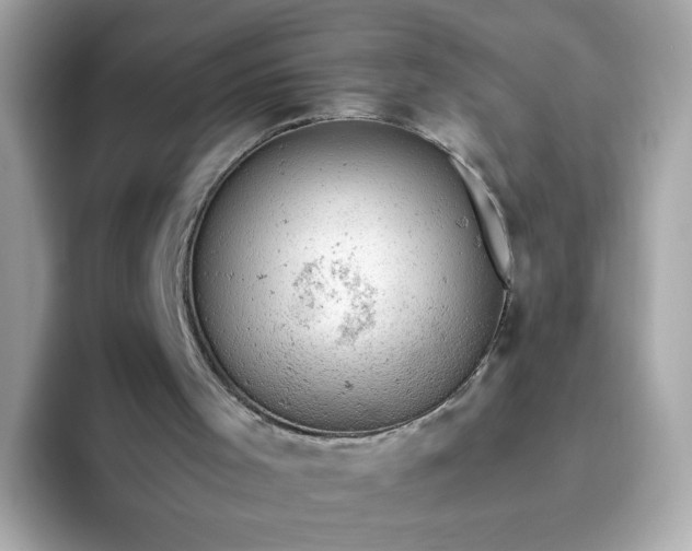 X0000093430001200710261029