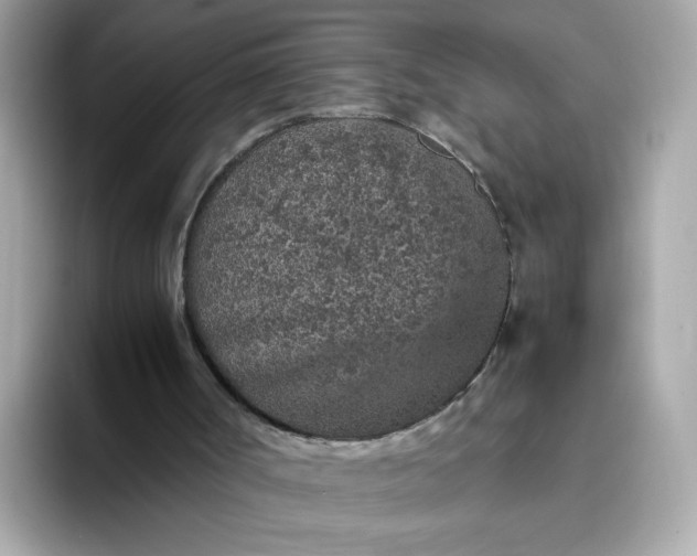 X0000093430002200710261029