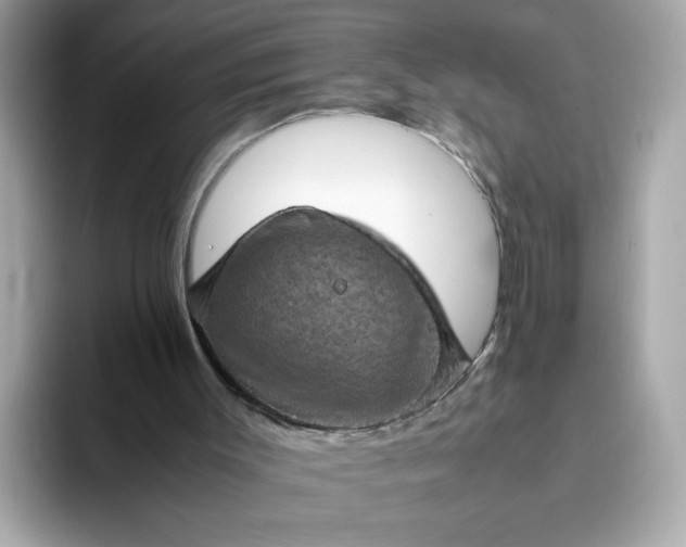 X0000093430003200710261029