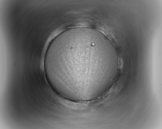 X0000093430004200710261029