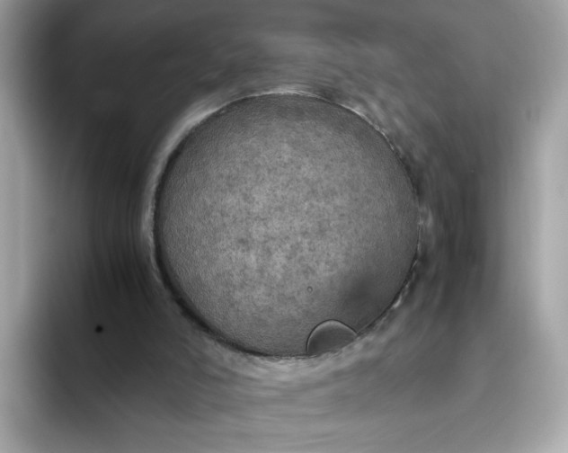 X0000093430006200710261029