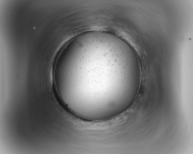 X0000093430011200710261029