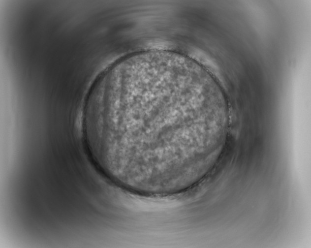 X0000093430012200710261029