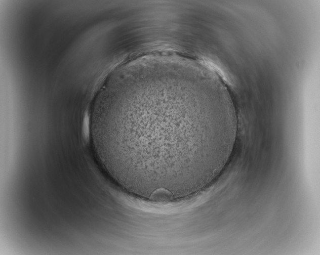 X0000093430014200710261029