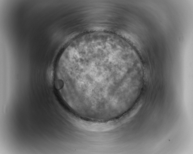 X0000093430016200710261029