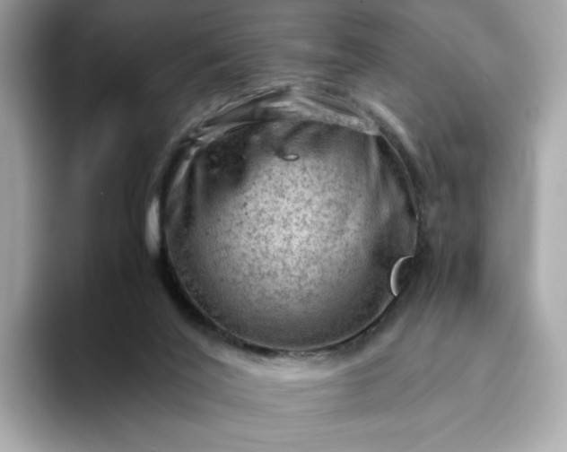 X0000093430020200710261029