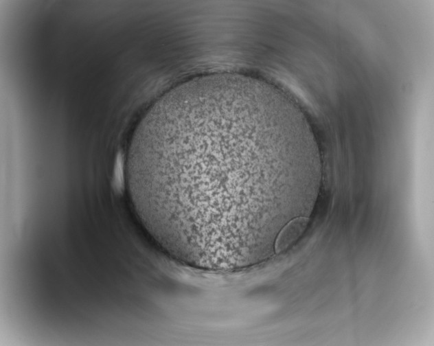 X0000093430022200710261029