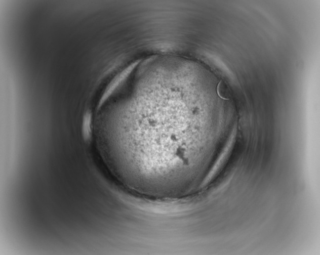 X0000093430024200710261029