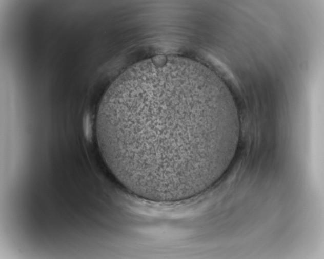 X0000093430026200710261029