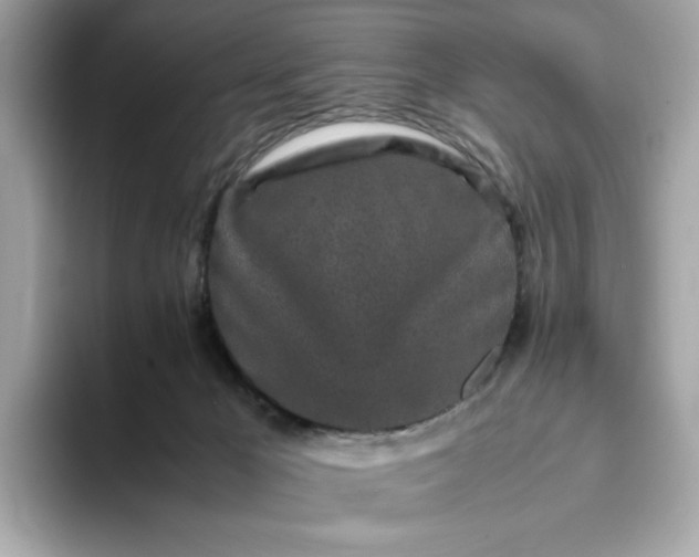 X0000093430029200710261029