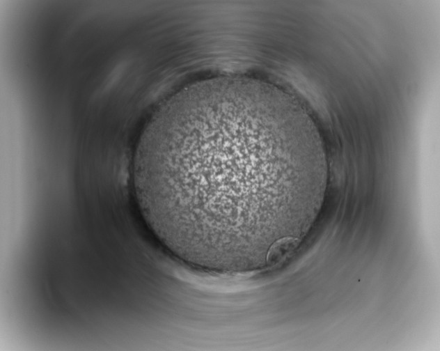 X0000093430032200710261028