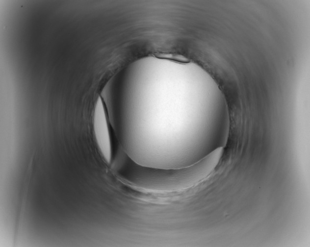 X0000093430033200710261028