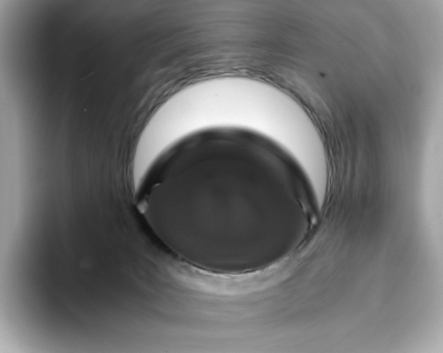 X0000093430035200710261028