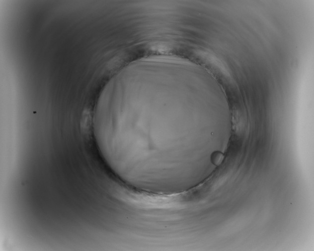 X0000093430036200710261028