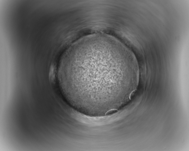 X0000093430038200710261028