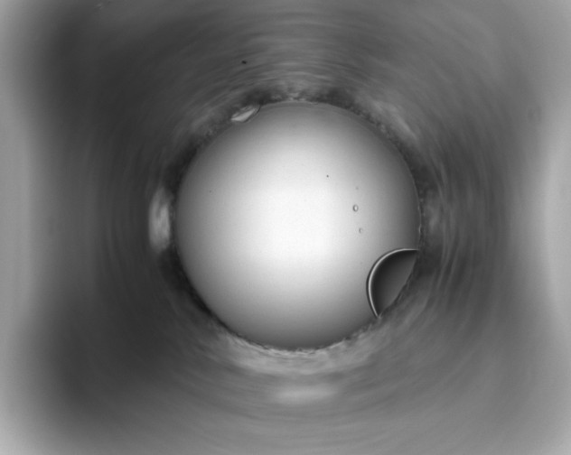 X0000093430042200710261028