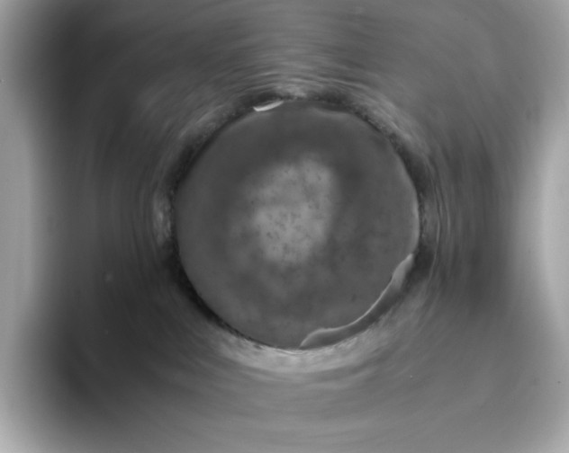 X0000093430043200710261028