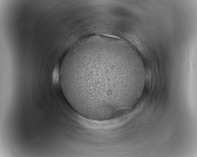 X0000093430046200710261028