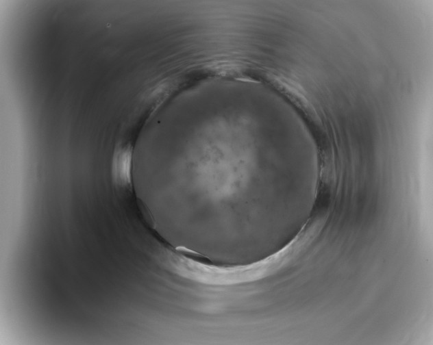 X0000093430047200710261028