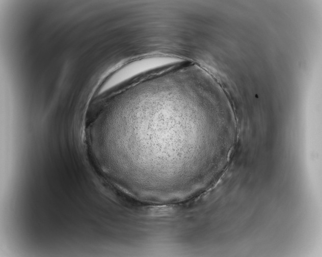 X0000093430050200710261028