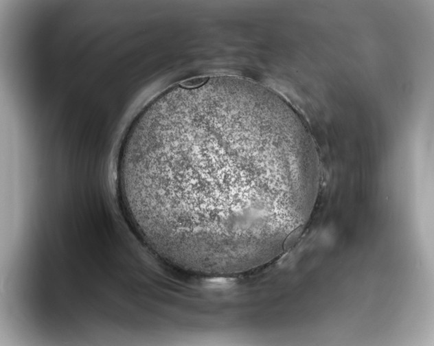 X0000093430053200710261028